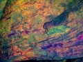 67647456563-505
