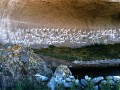 Pultuma Rock Shelter1