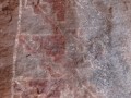 Chicoana Humahuaca (1052)