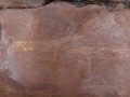 Chicoana Humahuaca (1057)