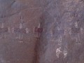 Chicoana Humahuaca (1171)