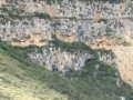 complejo-arqueologico-revash-1