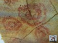 34440-12032-60