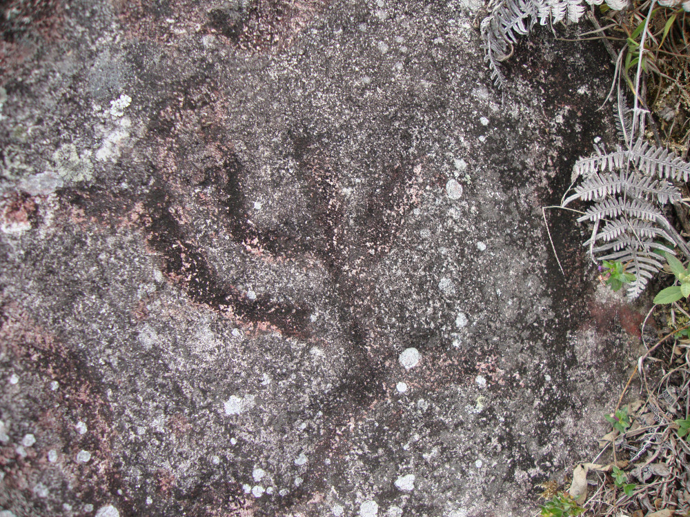 Petroglifos-de-San-Isidro-29