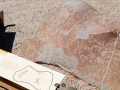 7450003-4034003469