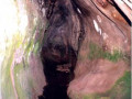 Figura-8-Cueva-del-Cerro-Suco