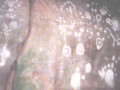 112-12009031