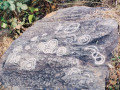 200-10-329-30929