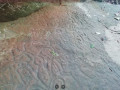23204392-5923