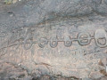 Piedra-Gorda-014