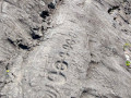 Piedra-Gorda-018