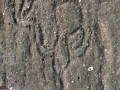 Piedra-Gorda-09