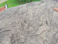 Piedra-Gorda-019