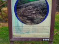 Piedra-Gorda-05