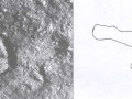 32039495835