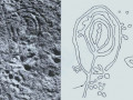 4574377