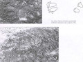 7540546-491
