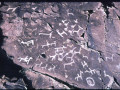 129120392-439435