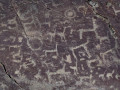7054653488