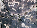 12301-49553