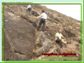 petrogrificos_3
