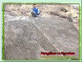 petrogrificos_1