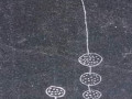 67902-34032