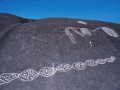 120-01023