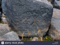 Essequibo River Guyana