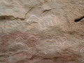 Petroglyphs of La Pitaya, Huancas; Peru
