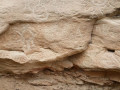 120002-392934