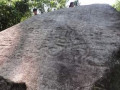 4543000493