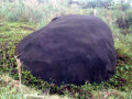 lajitas3