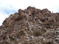 Tastil (600)
