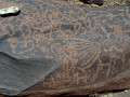 Tastil (470)
