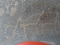 Tastil (131)