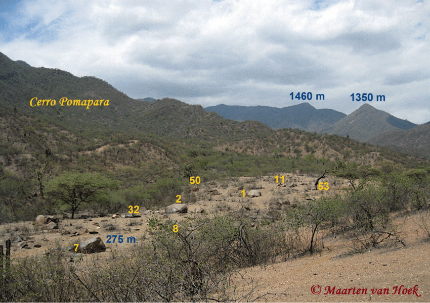 View-of-the-boulder-field-of-Quebrada-de-los-Boliches