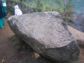 343-19901