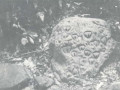 345-034-534
