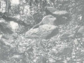 201291-239