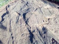 222024-2047224-24
