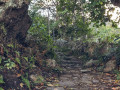 CAMINO-REAL-1