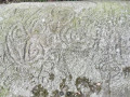 180-12919046
