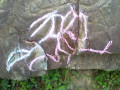 petroglifo5
