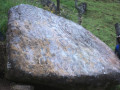 Vereda San Miguel