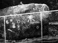 piedramapa005