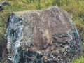 Petroglifo-La-Piedra-del-Indio-Lobatera