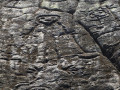 Detalle-de-los-glifos-en-la-seccion-izquierda-del-observador-de-la-Piedra-del-Indio-Lobatera.-Destaca-el-Gigante-y-El-hombre-de-maiz