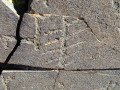 Cerro Negro  (122)