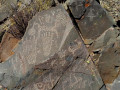Cerro Negro  (22)